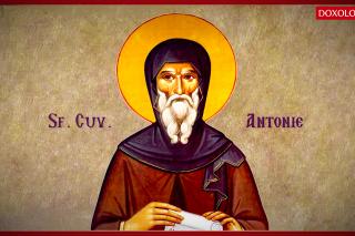 Troparul Sfântului Cuvios Antonie cel Mare