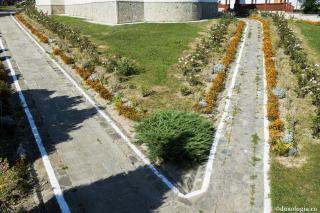 bifurcație