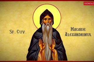 Troparul Sfântului Cuvios Macarie Alexandrinul