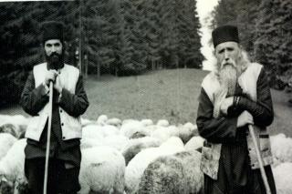 Părintele Cleopa Ilie