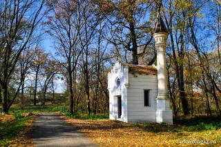 Parcul dendrologic de la Miclăușeni, un rai de verdeață