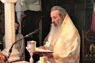 IPS Teofan, în comuniune liturgică în Biserica Ortodoxă a Ciprului