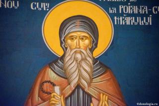 Sfântul Cuvios Vasile de la Poiana Mărului