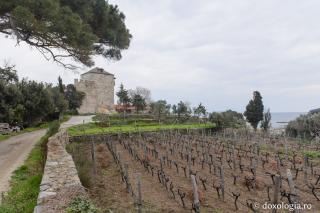 Mylopotamos – cea mai vestită podgorie athonită