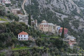 Zeci de fotografii cu nou-născuți, la Schitul Sfintei Ana din Muntele Athos