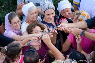 (Video) Șerpii din Kefalonia – o minune deosebită ce se săvârşeşte anual, în vremea postului Adormirii Maicii Domnului