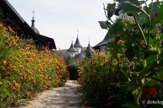 (Foto) Toamna la Mănăstirea Sihăstria
