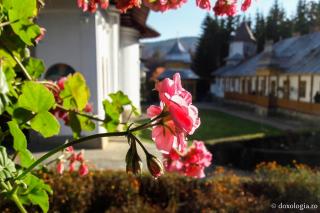 (Foto) Culorile toamnei la Mănăstirea Sihăstria