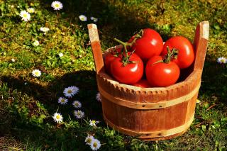Preveniți osteoporoza cu suc natural