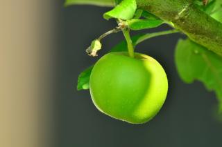 Suc natural antidepresiv