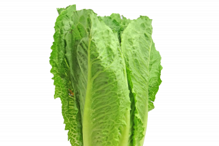 Suc natural pentru detoxifiere sangvină