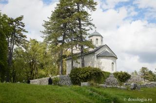 Mănăstirea Cetinje