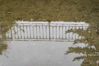 reflexie în baltă