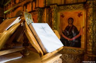 Minunea Macii Domnului pentru bătrânul bolnav care s-a împuternicit şi în tărie de voinic a venit