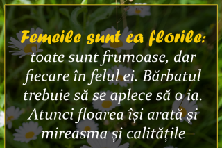 „Femeile sunt ca florile: toate sunt frumoase, dar fiecare în felul ei. Bărbatul trebuie să se aplece să o ia. Atunci floarea își arată și mireasma și calitățile ascunse...”