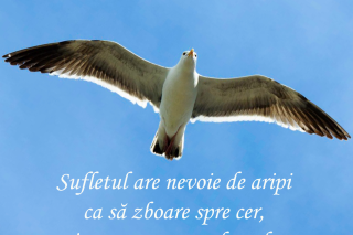Sufletul are nevoie de aripi ca să zboare spre cer, iar acestea sunt date de milostenie
