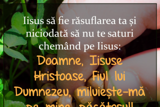 Iisus să fie răsuflarea ta și niciodată să nu te saturi chemând pe Iisus: Doamne, Iisuse Hristoase, Fiul lui Dumnezeu, miluiește-mă pe mine, păcătosul!