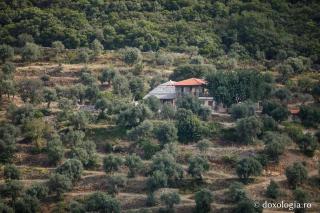 Kathisma „Sfântul Nicolae Hrisokamari” – Xenofont, Athos