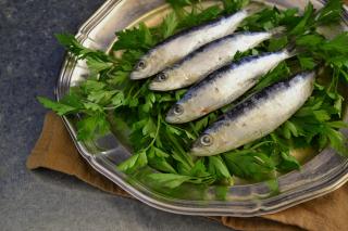 sardine