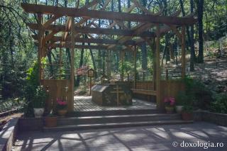 Mormântul Părintelui Serafim Rose din Platina