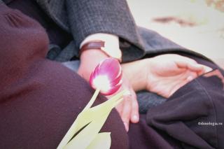 Preludiul Creaţiei – gânduri pentru Ziua Copilului