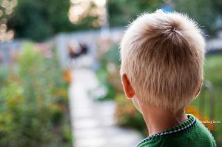 Mesajul Sfântului Luca al Crimeei pentru un copil bolnăvior