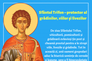 Sfântul Trifon – protector al grădinilor, viilor și livezilor
