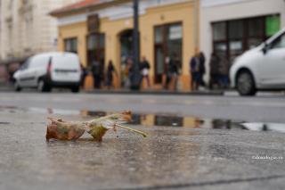 Neomarxismul cultural – o antropologie anti-creștină