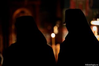 Să-L urmezi pe Hristos înseamnă să te deschizi conștiinței Lui
