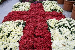 cruce din flori