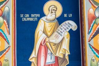 Sfântul Cuvios Antipa de la Calapodești