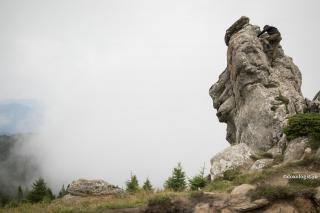 stâncă