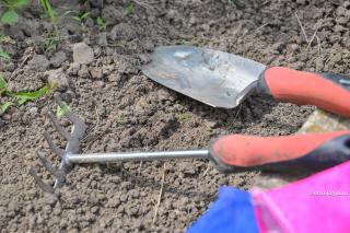 Iubirea de stăpânire transformă oamenii în unelte