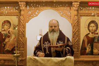 (Video) Omul care vorbește puțin are liniște și pace interioară - PS Ignatie