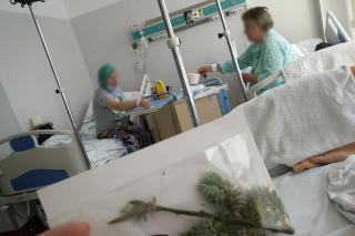 Crenguțe binecuvântate și mesaje de încurajare, dăruite  medicilor și pacienților din Suceava și Rădăuți  în Duminica Floriilor