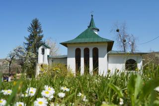 (Foto) Floriile la Mănăstirea Tuturor Sfinților Bucium