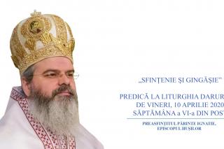 (Video) „Sfințenie și gingășie” – PS Ignatie