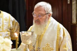 (Video) Mitropolitul Andrei: „Hărnicia” – Predică la Duminica a 16-a după Rusalii (Pilda talanților)