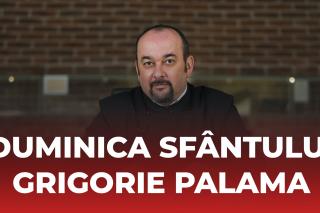 (Video) „Fiule, iertate îţi sunt păcatele tale!” – Explicații la Evanghelia Duminicii a 2-a din Post (a Sfântului Grigorie Palama)