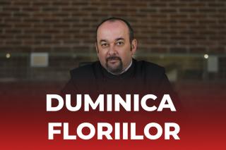 (Video) Ce înseamnă „a-și aduce aminte” sau gânduri despre neuitare – Explicații la Evanghelia Duminicii a 6-a din Post (a Floriilor)