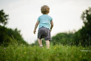 Superioritatea creației – omul, față în față cu lumea lui Dumnezeu