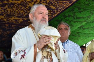 (Video) Mitropolitul Andrei: „Domnul Hristos, Doctorul sufletelor și al trupurilor noastre”