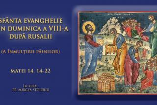 (Video) Sfânta Evanghelie din Duminica a VIII-a după Rusalii (Înmulțirea pâinilor)