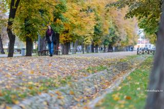 tânără în parc