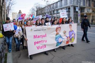 Zece ani de Pro Vita Iași