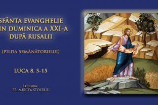 (Video) Sfânta Evanghelie din Duminica a XXI-a după Rusalii (Pilda semănătorului - a Sfinților Părinți de la Sinodul al VII-lea Ecumenic)