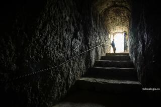 Când chipurile devin transparente şi putem vedea inima ce bate înăuntru – demnitatea umană în operele lui Dostoievski