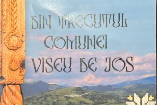 Bucuria tinereții Istoriei