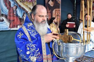 PS Ignatie: „Hristos, în repejunile Iordanului, vindecă Cosmosul întreg de rana otrăvitoare a păcatului”