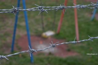 Drama războiului în versurile Sfântului Ioan Iacob de la Neamț
